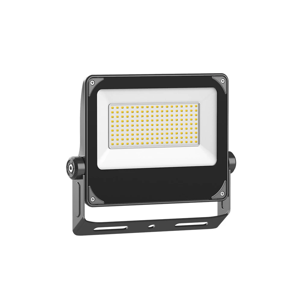 LED Flood Light